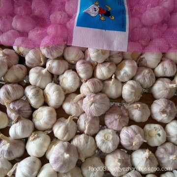 Chinese Fresh White Garlic in 10kg Mesh Bag